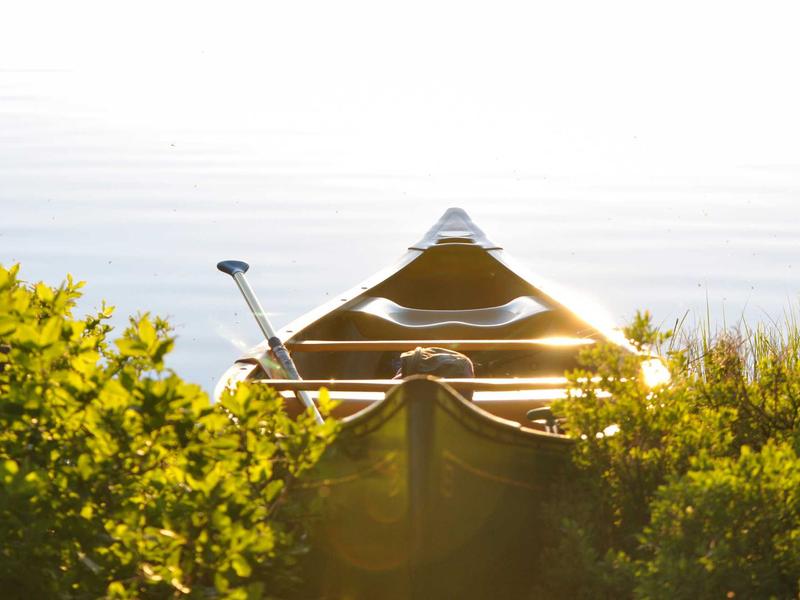 부동산 블로그 사례