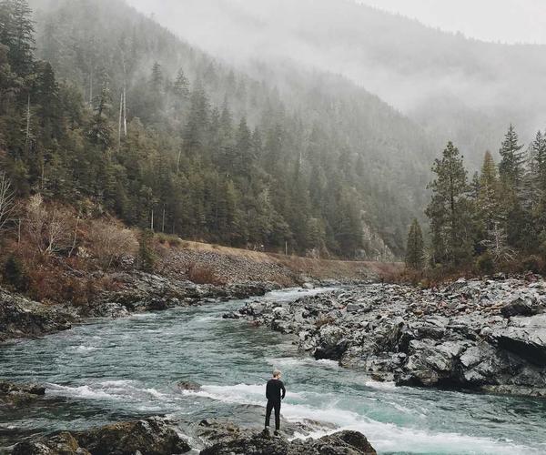 블로그 트래픽 성장