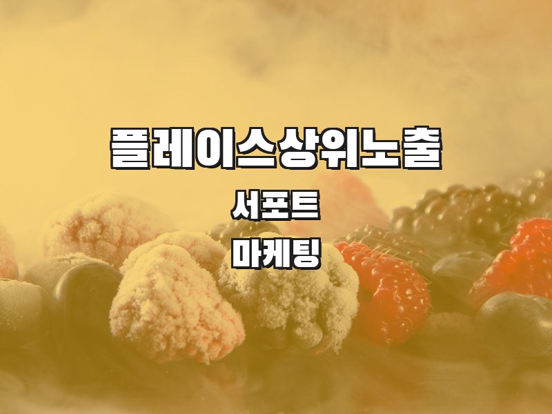 플레이스상위노출 주식회사 서포트 | SEO 마케팅 전문기업 - 네이버 플레이스 검색 상위노출 최적화 서비스