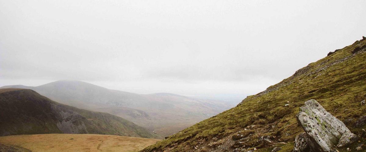 네이버 플레이스 데모